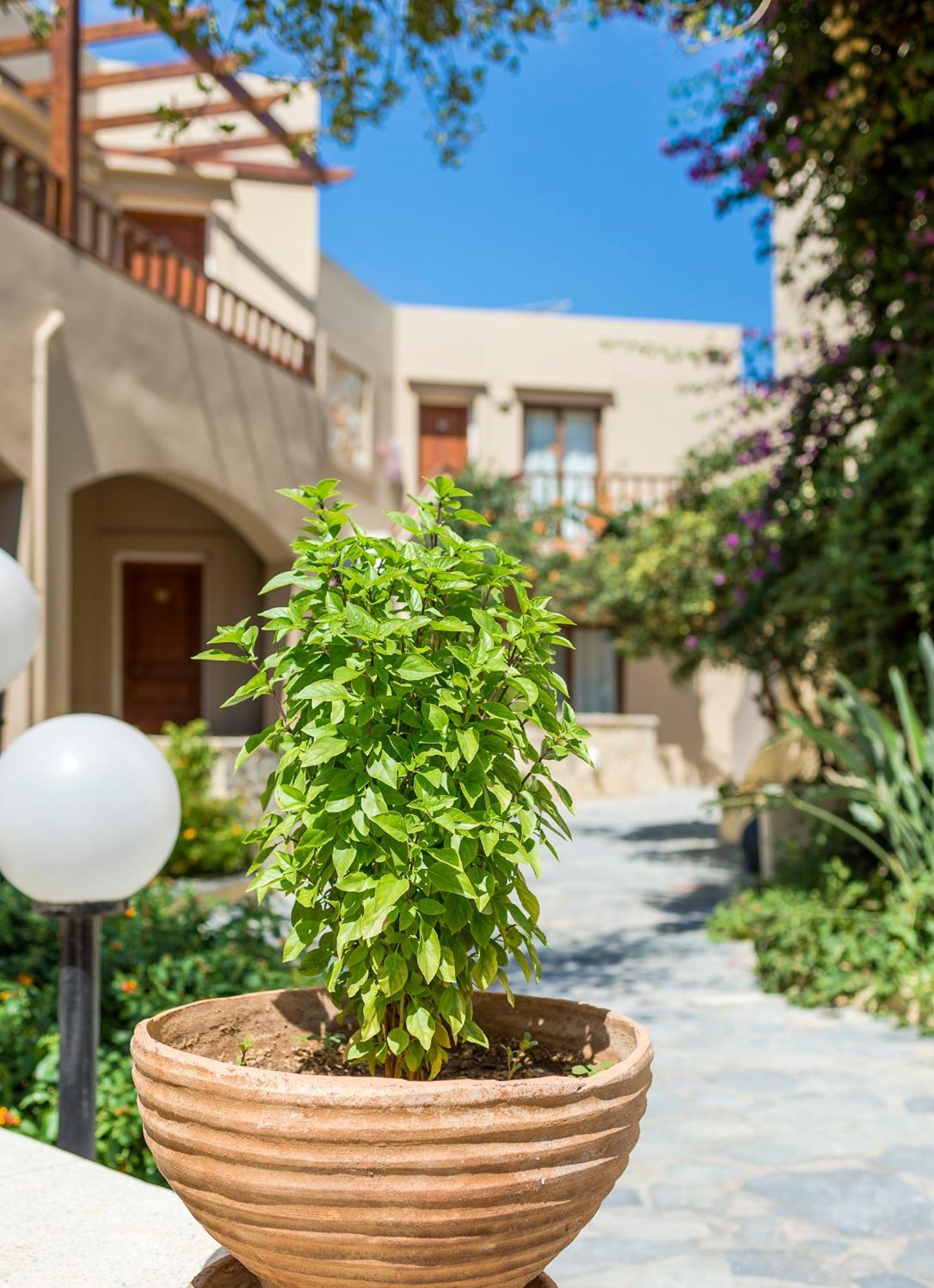 Indigo Mare Aparthotel Chania  Exterior foto